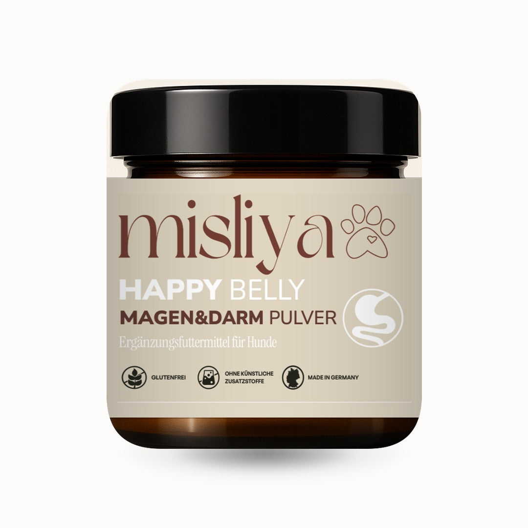 Happy Belly - Magen & Darm-Pulver