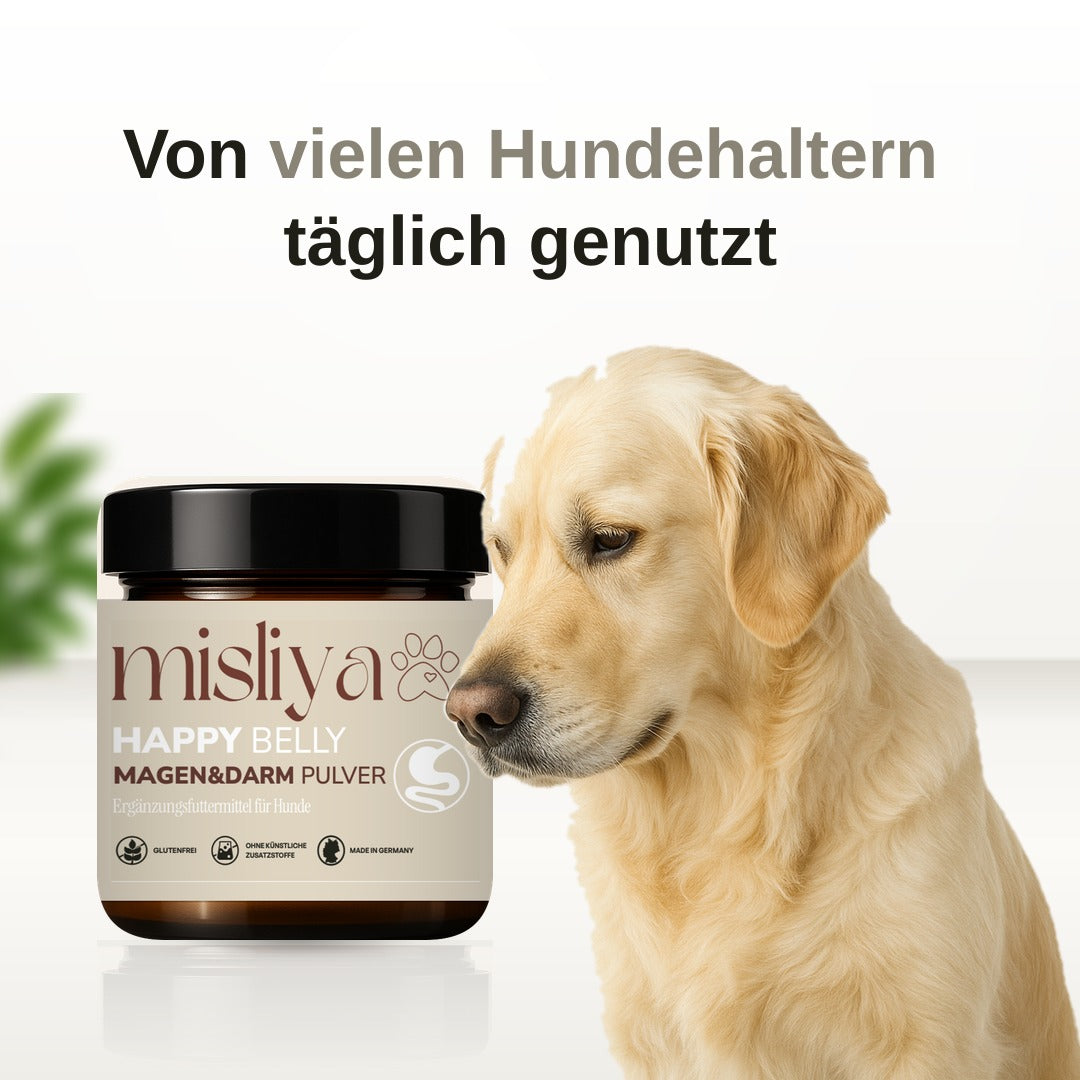 Happy Belly - Magen & Darm-Pulver